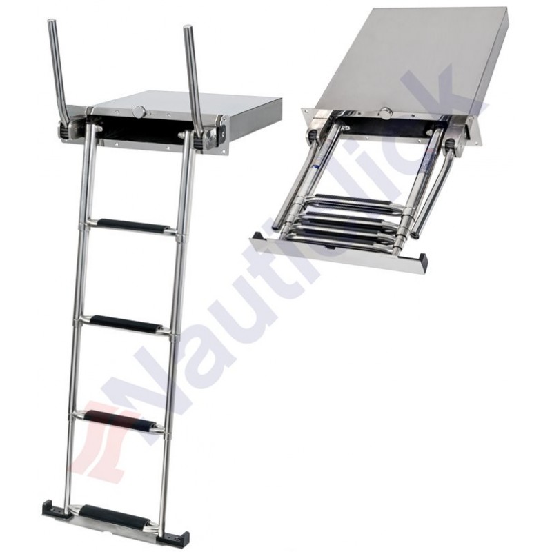 TELESCOPIC LADDER WITH HANDLES