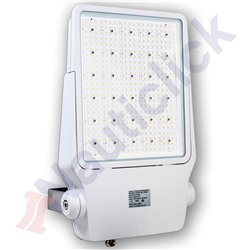 MARINE FLOODLIGHTS FLNG 300W-AC