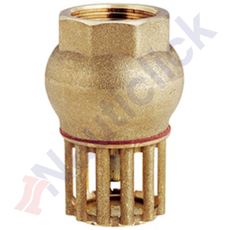 FOOT VALVE THREADED 1 INCH
