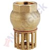 FOOT VALVE THREADED 1 INCH