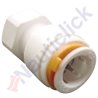 ADAPTER FEMALE 3/8BSP-S12