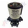 WATER PUMP EVENFLOW 600